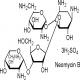 硫酸新霉素-CAS:1405-10-3