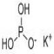 亚磷酸二氢钾-CAS:13977-65-6