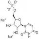 5'-尿苷酸二钠(UMP)-CAS:3387-36-8