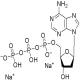 三磷酸脱氧腺苷钠盐（dATP）-CAS:1927-31-7 74299-50-6