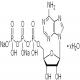5’-三磷酸腺苷二钠盐水合物-CAS:34369-07-8