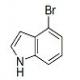 4-溴吲哚-CAS:52488-36-5