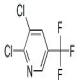 2,3-二氯-5-三氟甲基吡啶-CAS:69045-84-7