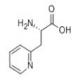 3-(2-吡啶基)-L-丙氨酸-CAS:37535-51-6