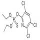 毒死蜱-CAS:2921-88-2