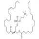 卵磷脂-CAS:8002-43-5