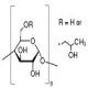 羟丙基-γ-环糊精-CAS:128446-34-4