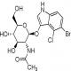 5-溴-4-氯-3-吲哚-N-乙酰-β-D-氨基葡萄糖苷-CAS:5609-91-6