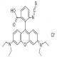 罗丹明B异硫氰酸酯-CAS:36877-69-7