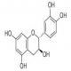 (+)-儿茶素-CAS:154-23-4