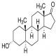 雄酮-CAS:53-41-8