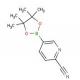 2-氰基吡啶-5-硼酸频那酯-CAS:741709-63-7