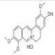 药根碱盐酸盐-CAS:6681-15-8