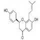 异补骨脂黄酮-CAS:31524-62-6