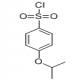 4-异丙氧基苯磺酰氯-CAS:98995-40-5