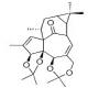 巨大戟醇-3,4:5,20-双缩丙酮-CAS:77573-44-5