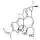 巨大戟醇-3-O-当归酸酯-CAS:75567-37-2