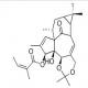 巨大戟醇-5,20-缩丙酮-3-当归酸酯-CAS:87980-68-5