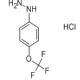 4-三氟甲氧基苯肼盐酸盐-CAS:133115-72-7