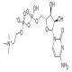 脑二磷胆碱-CAS:987-78-0