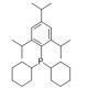 ((2,4,6-三异丙基)苯基)二-环己基膦-CAS:303111-96-8
