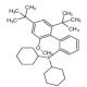 [2',4'-二(1,1-二甲基乙基)-6'-甲氧基[1,1'-联苯]-2-基]二环己基膦-CAS:1848244-75-6