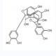 原花青素 A2-CAS:41743-41-3