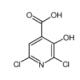 2,6-二氯-3-羟基吡啶-4-羧酸-CAS:185422-96-2