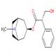 莨菪碱-CAS:101-31-5