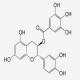 (-)-没食子酸儿茶素酯-CAS:130405-40-2