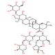 瓜子金皂苷V-CAS:162857-65-0