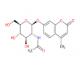 4-甲基伞形酮 2-乙酰氨基-2-脱氧-β-D-吡喃葡萄糖苷-CAS:37067-30-4