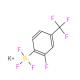 2-氟-4-(三氟甲基)苯基三氟硼酸钾-CAS:1150655-12-1