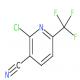 2-氯-6-三氟甲基烟腈-CAS:386704-06-9