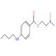 丁卡因-CAS:94-24-6