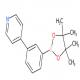 4-(3-(4,4,5,5-四甲基-1,3,2-二氧硼杂环戊烷-2-基)苯基)吡啶-CAS:1009033-83-3