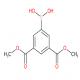 3,5-双(甲氧基羰基)苯硼酸-CAS:177735-55-6