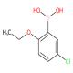5-氯-2-乙氧基苯硼酸-CAS:352534-86-2