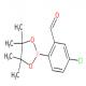 5-氯-2-(4,4,5,5-四甲基-1,3,2-二氧硼杂环戊烷-2-基)苯甲醛-CAS:1132669-91-0