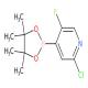 2-氯-5-氟-4-(4,4,5,5-四甲基-1,3,2-二氧杂硼烷-2-基)吡啶-CAS:1256360-62-9