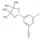 3-氯-5-(4,4,5,5-四甲基-1,3,2-二氧硼杂环戊烷-2-基)苯甲腈-CAS:1212021-11-8