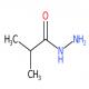 异丁酰肼-CAS:3619-17-8