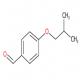 4-异丁氧基苯甲醛-CAS:18962-07-7