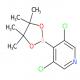3,5-二氯-4-(4,4,5,5-四甲基-1,3,2-二氧硼杂环戊烷-2-基)吡啶-CAS:1257641-28-3