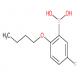 2-丁氧基-5-氟苯基硼酸-CAS:480438-62-8