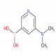 5-(二甲基氨基)吡啶-3-硼酸-CAS:1018680-09-5