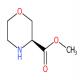 (S)-3-甲酸甲酯吗啉-CAS:741288-31-3