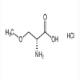 O-甲基-D-丝氨酸盐酸盐-CAS:86118-10-7