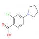 2-氯-4-(1-吡咯烷基)苯甲酸-CAS:192513-60-3