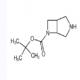 3,6-二氮杂双环[3.2.0]庚烷-6-羧酸叔丁酯-CAS:122848-57-1
